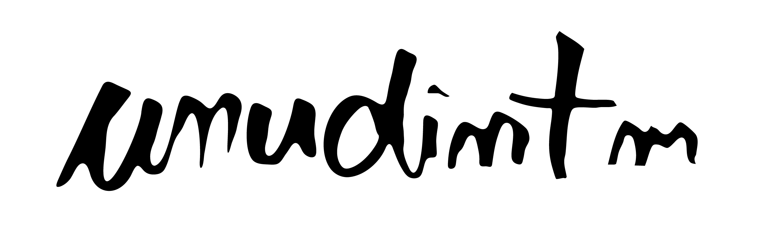 unudintm